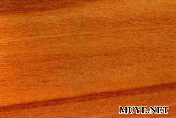非洲金絲柚樣品實拍