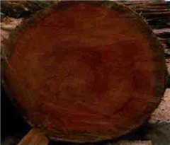 暫無(wú)橫斷面